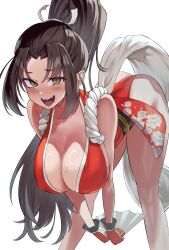 mai shiranui from fatal fury by sato one1