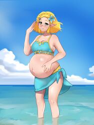 princess zelda from nintendo by palitexx