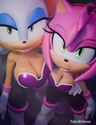 amy rose from sonic (series) by cybrokrimson