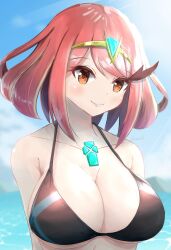 1girls beach big_breasts blush blushing breasts cleavage female female_only huge_breasts kanuitichrom large_breasts light-skinned_female light_skin nintendo ocean orange_eyes pyra red_hair seaside short_hair smile smiling smiling_at_viewer solo solo_female swimsuit swimwear tagme two-piece_swimsuit two_piece_swimsuit upper_body water xenoblade_(series) xenoblade_chronicles_2