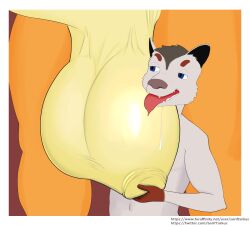 american_opossum anthro ball_fondling ball_worship balls big_balls duo fondling fur genitals hi_res huge_balls male mammal marsupial orange_body orange_skin seriftarkus tan_balls tongue tongue_out white_body white_fur