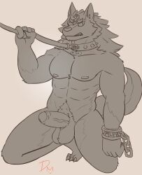 absurd_res anthro balls canid canine clenched_teeth collar collar_only cuff_(restraint) dangermons fur genitals hi_res humanoid leash leash_pull link male mammal muscular nintendo nipples nude penis restraints shackles simple_background solo teeth the_legend_of_zelda thick_penis twilight_princess wolf_link