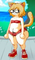 ass belly belly_button big_ass bottom_heavy cat_ears cat_girl cat_humanoid cat_tail catgirl chubby chubby_female female_pubic_hair flat_chest flat_chested huge_ass neco-arc pear_shaped short_shorts shortstack slightly_chubby small_breasts thick_thighs tsukihime wide_hips wiirart