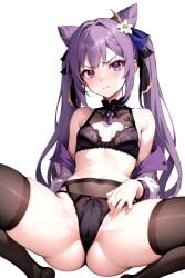 2024 ai_generated bangs bare_shoulders black_bra black_panties black_thighhighs blush bra braid breasts cameltoe closed_mouth cone_hair_bun double_bun female flower hair_bun hair_ears hair_flower hair_ornament hair_ribbon high_resolution highres jacket keqing_(genshin_impact) long_hair long_sleeves looking_at_viewer navel off_shoulder original panties phalzu purple_eyes purple_hair ribbon self_upload simple_background small_breasts solo spread_legs thighhighs thighs twintails underwear v-shaped_eyebrows white_background