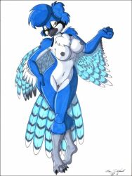 2004 anthro avian bird blue_jay breasts female furry marc_leonhardt nipples pussy solo