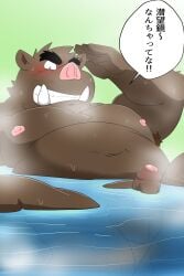 2024 anthro balls belly big_belly blush brown_body dialogue erection genitals hi_res japanese_text kemono male male_only mammal moobs navel nipples overweight overweight_male penis shibatanukiti solo solo_male steam suid suina sus_(pig) text water wild_boar