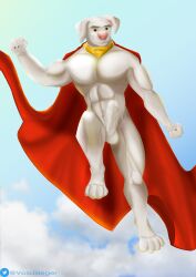 absurd_res anthro balls canid canine canis cape clothing collar dc_comics digital_media_(artwork) domestic_dog erection fur genitals hi_res humanoid_genitalia humanoid_penis krypto krypto_the_superdog male male_focus male_only male_solo mammal muscular muscular_male nude pecs penis simple_background solo solo_male vossjaeger