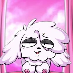 1girls :o animated bouncing_breasts breasts cowgirl_position dog furry live2d nipples o_mouth open_mouth original pink_nipples pj_(rocky_rakoon) poodle pubic_hair rocky_rakoon rocky_rakoon_(artist) translucent_hair video white_fur