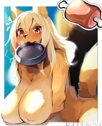 1girls 2024 big_breasts blonde_hair blush blush_lines bowl breasts canine canine dog_bowl dog_ears dog_girl dog_tail eyebrows eyebrows_visible_through_hair fangs female female_only food furry furry_only hands_under_breasts huge_breasts japanese_text looking_at_viewer naturally_censored nipple_tuft orange_eyes pyoin_pyoin tail teeth yellow_body yellow_fur