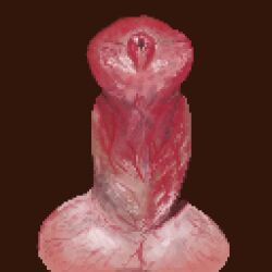 anatomically_correct anatomically_correct_genitalia anatomically_correct_penis animal_genitalia animal_penis canine_genitalia canine_penis digital_media_(artwork) disembodied_penis genitals knot male penis pixel_(artwork) solo u4e