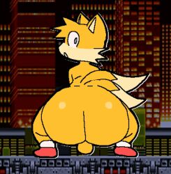 1boy 2_tails animated anthro ass balls big_ass bubble_butt fat_ass femboy fur furry furry_only jiggle jiggling_ass looking_at_viewer looking_back male_only multi_tail sega shiny_fur shoes solo sonic_(series) sonic_the_hedgehog_(series) squatting tail tails toedi twerking