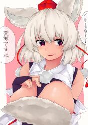 momiji inubashiri from touhou by shirokaba114