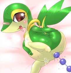 anal_beads blush crying drool female nintendo on_side pokemon pokemon_(species) pokemon_bw pussy pussy_juice red_eyes saliva sex_toy snivy solo sweat tail teeth tongue_out zoe_(artist)