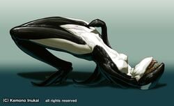 animal_costume bodysuit cetacean costume female kemono_inukai latex marine orca shiny skin suit transformation