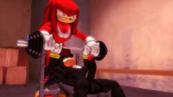 3d_(artwork) abs absurd_res balls barbell bench_press digital_media_(artwork) duo erection exercise genitals gym hi_res interrupted knuckles_the_echidna male male/male male_only muscular muscular_male nipples pecs penis penis_on_face sega shadow_the_hedgehog sonic_(series) sonic_the_hedgehog_(series) sonicthebitch source_filmmaker weightlifting workout