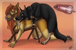 1boy1girl anthro anthro_on_feral black_fur bondage bound breeding_mount collar cum female feral freyja_(hundedelweiss) furry german_shepherd hetero hybernation internal internal_cumshot knotting male male/female mounting muzzle_(object) orange_eyes penis quadruped tan_fur vaginal_knotting vaginal_penetration zoophilia