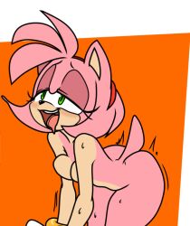 1girls amy_rose female furry hedgehog looking_pleasured pink_fur pink_hair png solo sonic_(series) sy_noon