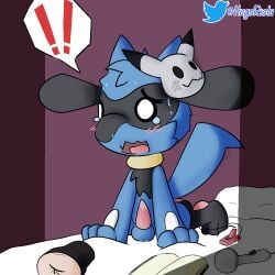 anal anal_sex bedroom bodily_fluids caught caught_off_guard embarrassed feral hugo_the_riolu hugoriolu male male_focus male_only male_solo nintendo panicking penetrable_sex_toy penetration pokémon_(species) pokemon pokemon_only riolu sex_toy sex_toy_in_ass sex_toy_insertion solo solo_male sweat vibrator video_games