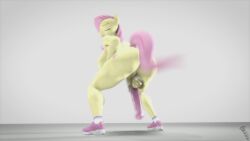 1futa 3d animated anthro bouncing_ass bouncing_balls bouncing_penis fluttershy_(mlp) futa_only futanari green_eyes horse horse_girl horsecock horsecock_futanari my_little_pony no_sound pink_hair pink_penis pink_tail screwingwithsfm twerking video yellow_body