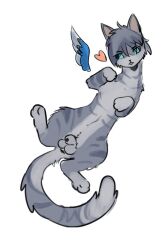 animal_genitalia anthro balls domestic_cat feathers felid feline felis fur genitals grey_body grey_fur hair heart jayfeather_(warriors) male mammal nothing22c sheath solo warriors_(cats)