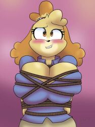 animal_crossing anthro anthro_only arms_behind_back blush bondage bound bound_breasts breast_press breast_squish breasts canid canine canis domestic_dog eyelashes female frefer9 furry furry_only isabelle_(animal_crossing) nintendo orange_eyes rope solo solo_female solo_focus suspended suspension tied tied_breasts tied_up video_game_character video_games yellow_fur