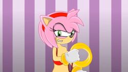 amy_rose bra cartoon_hook-ups furry motel rings sega sonic_(series) sonic_the_hedgehog_(series) tagme winky_dink_media