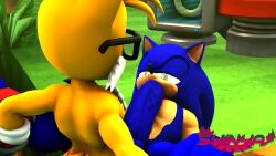 3d animated big_penis blackcherry blowjob gay huge_cock male mp4 no_sound penis sega shinyagaia sonic_(series) sonic_the_hedgehog tagme tails video video_games