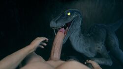 3d 3d_(artwork) big_penis blue_(jurassic_world) bodily_fluids cum cum_in_mouth cum_inside cum_string dinosaur dromaeosaurid duo fellatio fellatio_from_feral female feral first_person_view genital_danger_play genital_fluids genitals hand_holding hi_res human human_penetrating interspecies jurassic_park jurassic_world lewdmaster42069 light-skinned_male male male/female male_on_feral mammal oral penetration penile penis reptile saliva scalie sex sharp_teeth teeth theropod universal_studios velociraptor zoophilia