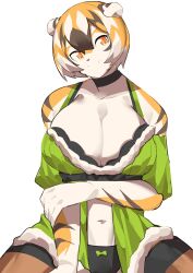 1girls anthro arknights aspirindabaitu big_breasts breasts female furry mx99926 solo solo_female tagme tiger tiger_girl waai_fu_(arknights)