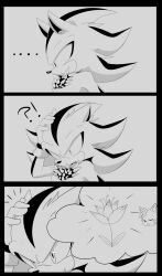 comic furry monochrome shadic80 shadow_the_hedgehog sonic_(series) sonic_riders sonic_the_hedgehog_(series) tails thought_bubble