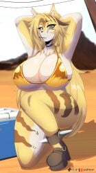 anthro armwear big_breasts bikini breasts choker clothed clothing crouching detailed_background domestic_cat felid feline felis female fur gold_bikini golden_week green_eyes hands_behind_head handwear hi_res inner_ear_fluff jewelry looking_at_viewer mammal mihoyo multicolored_body multicolored_fur neck_tuft necklace pulchra_fellini pupils skimpy skimpy_bikini slit_pupils sly_shadex solo striped_body striped_fur stripes swimwear tail tan_body tan_fur thiren tuft two-piece_swimsuit white_body white_fur zenless_zone_zero