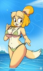 1girls animal_crossing anthro bikini bikini_bottom bikini_top breasts canid canine canis cleavage domestic_dog female furry ikaribunbun isabelle_(animal_crossing) nintendo sea sexy_pose tagme wide_hips