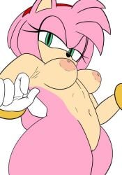 amy rose from sonic (series) by xenrevv