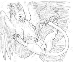 avian crotchboob crotchboobs female feral goldenfox gryphon non-human_areolae wings