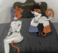 absurd_res all_fours anthro anus ass beanie beanie_only bed blush blush_lines breasts cate_meowdy clothing dialogue domestic_cat duo epic_games felid feline felis female female/female fortnite furniture genitals hat hat_only headgear headgear_only headwear headwear_only heart_symbol hi_res kchujvk mammal meow_skulls mostly_nude nipples nude on_bed presenting presenting_hindquarters shaking sitting small_breasts spanish_text text vulva