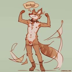2025 anthro balls biped canid canine canis cantio_(lawyerdog) collar collar_only collar_tag coyote digital_media_(artwork) english_text flaccid flexing flexing_bicep flexing_both_biceps full-length_portrait furry genitals humanoid_genitalia humanoid_penis lawyerdog male male_anthro mammal navel nude nude_anthro nude_male penis portrait smile solo standing tail tail_motion tailwag text thought_bubble