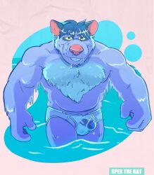2025 4_fingers anthro brok_the_investigator clothing cowcat_games fingers fur genitals grey_body grey_fur hi_res humanoid_hands male mammal murid murine penis rat rodent smile solo spectral-bat squealers_chief underwear water wet wet_clothing wet_underwear
