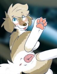 anatomically_correct animal_genitalia anus canid canine canine_genitalia canis domestic_dog female feral genitals gracie_(vixeyhuskybutt) heterochromia hi_res mammal paws plump_labia presenting pussy simple_background solo tongue tongue_out vixeyhuskybutt zoophilia