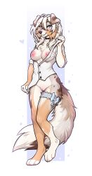 2022 absurd_res alayna_(senip) anthro australian_shepherd blush bra canid canine canis clothing domestic_dog dress_shirt f-r95 female garter_belt_leggings herding_dog hi_res mammal pastoral_dog sheepdog shirt solo topwear underwear