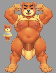 animal_crossing anthro balls belly big_belly big_penis blush bulge clothing crop_top flexing genitals grey_background hi_res hunnipanda looking_at_viewer male male_only mammal musclegut muscular muscular_male navel nintendo orange_body penis shirt simple_background solo speedo swimwear teddy_(animal_crossing) topwear ursid useless_clothing video_games