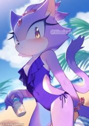 1girls anthro beach blaze_the_cat blurry blurry_background cat_ears cat_tail catgirl cute female female_focus female_only flat_chest furry holding_object iiimirai looking_at_viewer one-piece_swimsuit palm_tree patreon_username petite purple_skin purple_swimsuit sand scrunchie sega small_breasts sonic_(series) sonic_the_hedgehog_(series) swimsuit tagme water