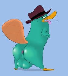 animal male_only perry_the_platypus phineas_and_ferb presenting_hindquarters solo_male tagme tail_up teal_body