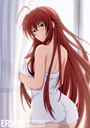 rias gremory from high school dxd by erbiek