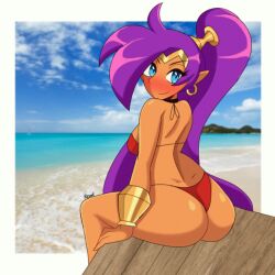 ass ass_focus beach bikini blush earrings female female_only looking_at_viewer ponytail regentb01 shantae shantae_(character) sideboob smooth_skin solo tagme