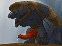 night fury from dreamworks by mcfan