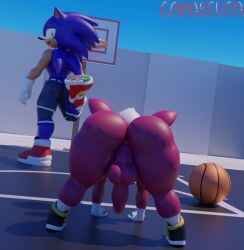 3d_(artwork) all_fours anthro anus ass backsack ball balls basketball_(ball) bent_over big_butt blue_body blue_fur bottomless bottomless_male bottomwear camseven chip_(sonic) clothed clothing digital_media_(artwork) duo eulipotyphlan footwear fur genitals girly hair hedgehog hi_res looking_back male mammal outside penis rear_view red_body red_fur sega shoes sonic_(series) sonic_the_hedgehog sonic_the_hedgehog_(series) sonic_unleashed stretching teapot_(body_type) unknown_species watermark white_hair wide_hips