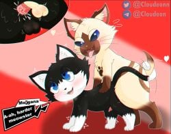 absurd_res all_fours anal anal_sex animal_genitalia animal_humanoid animal_penis ass atlus balls black_body black_fur blue_eyes blush bodily_fluids capcom cloudeon cum digital_media_(artwork) doggy_style domestic_cat duo erection felid feline felis felyne from_behind_position fur genital_fluids genitals hi_res humanoid lynian male male/male male_penetrated male_penetrating male_penetrating_male mammal megami_tensei megami_tensei_persona monster_hunter morgana_(persona) nude open_mouth palico penetration penile penis sex simple_background smile text video_games white_body white_fur
