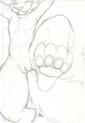 anthro canine cuntboy dancing fox fur furry furry_only hindpaw intersex kangaroo marsupial no_humans paws pussy sharey sketchkat solo stomping