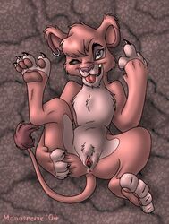 00s 2004 anus colored disney feline female female_feral feral furry hindpaw lion looking_at_viewer monotreme nude piercing presenting pussy solo the_lion_king the_lion_king_ii:_simba's_pride vitani
