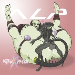 1boy 1boy1girl 1girls alien alien_(franchise) alien_girl alien_only alien_vs_predator areolae artist_name balls big_breasts bigger_female breasts enormous_breasts female female_yautja huge_breasts hyper_ass interspecies interxpecial large_breasts larger_female legs_up love male male/female male_xenomorph missionary missionary_position monster nipples no_humans predator_(franchise) pussy_juice sex size_difference smaller_male thick thick_ass thick_thighs wide_hips xenomorph yautja